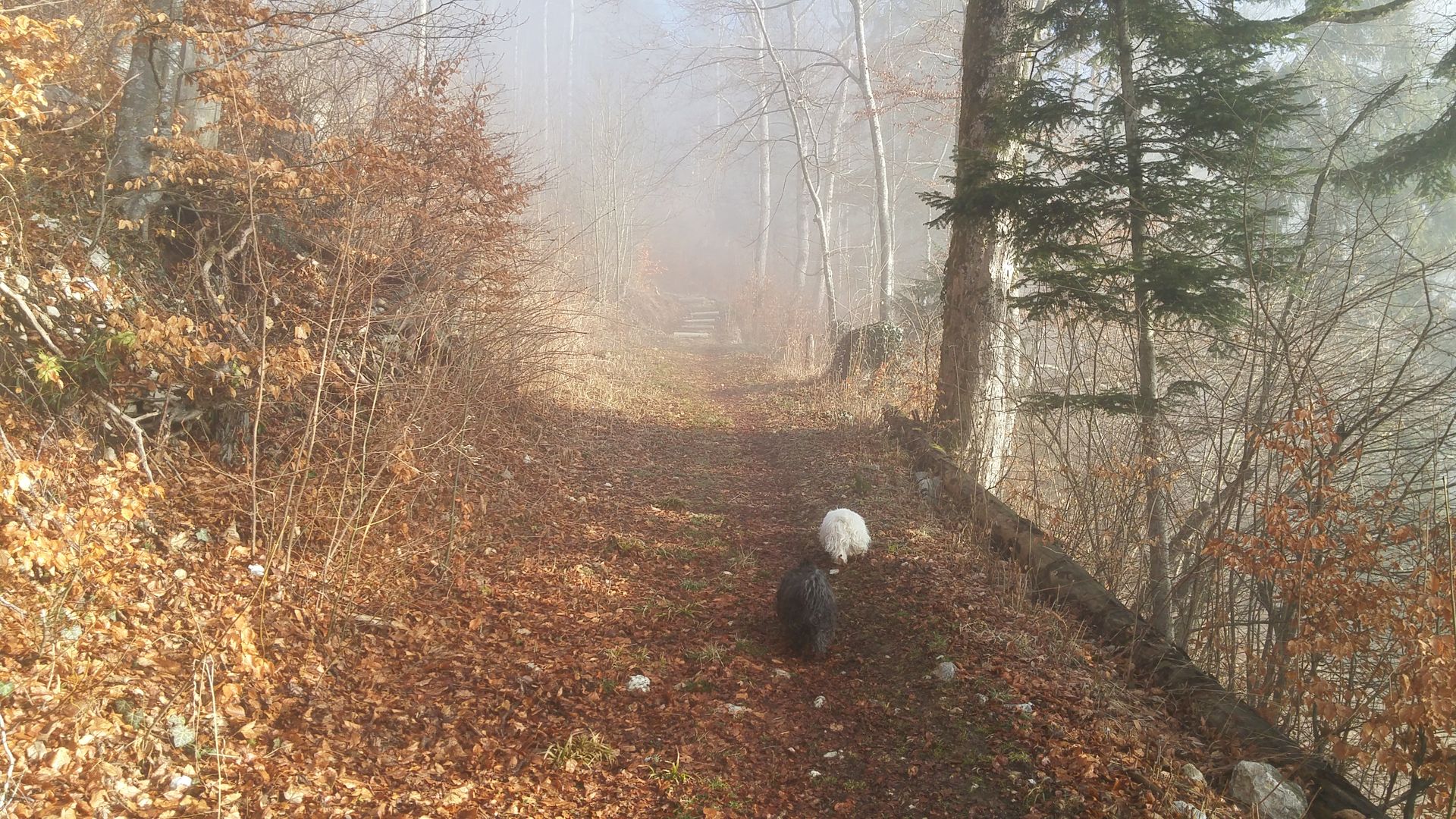 20170218_093835