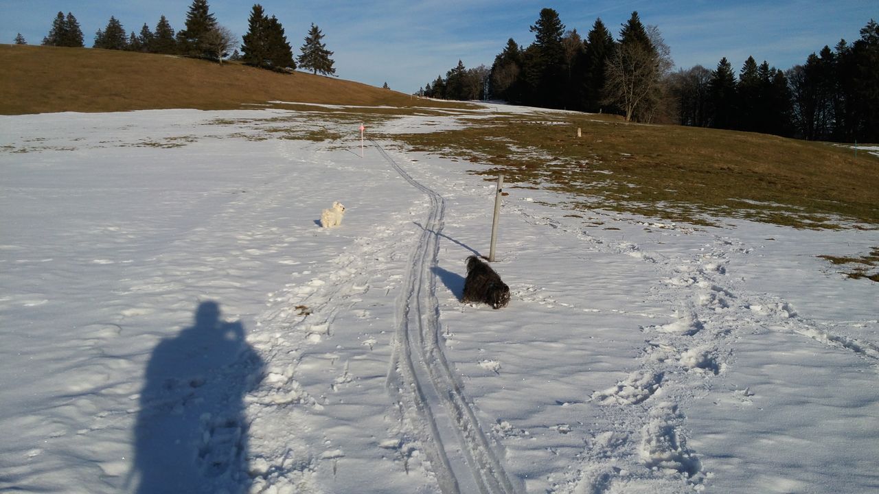 20170225_164556