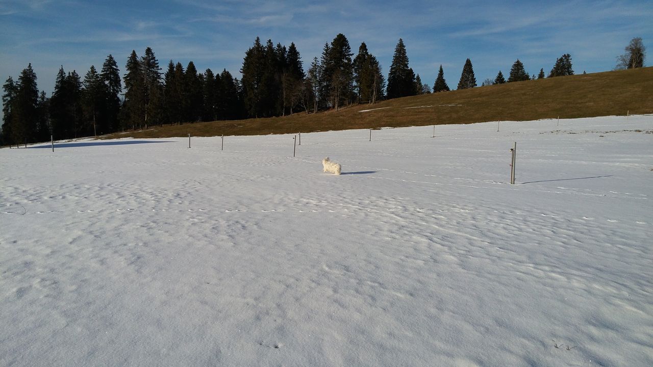20170225_164606