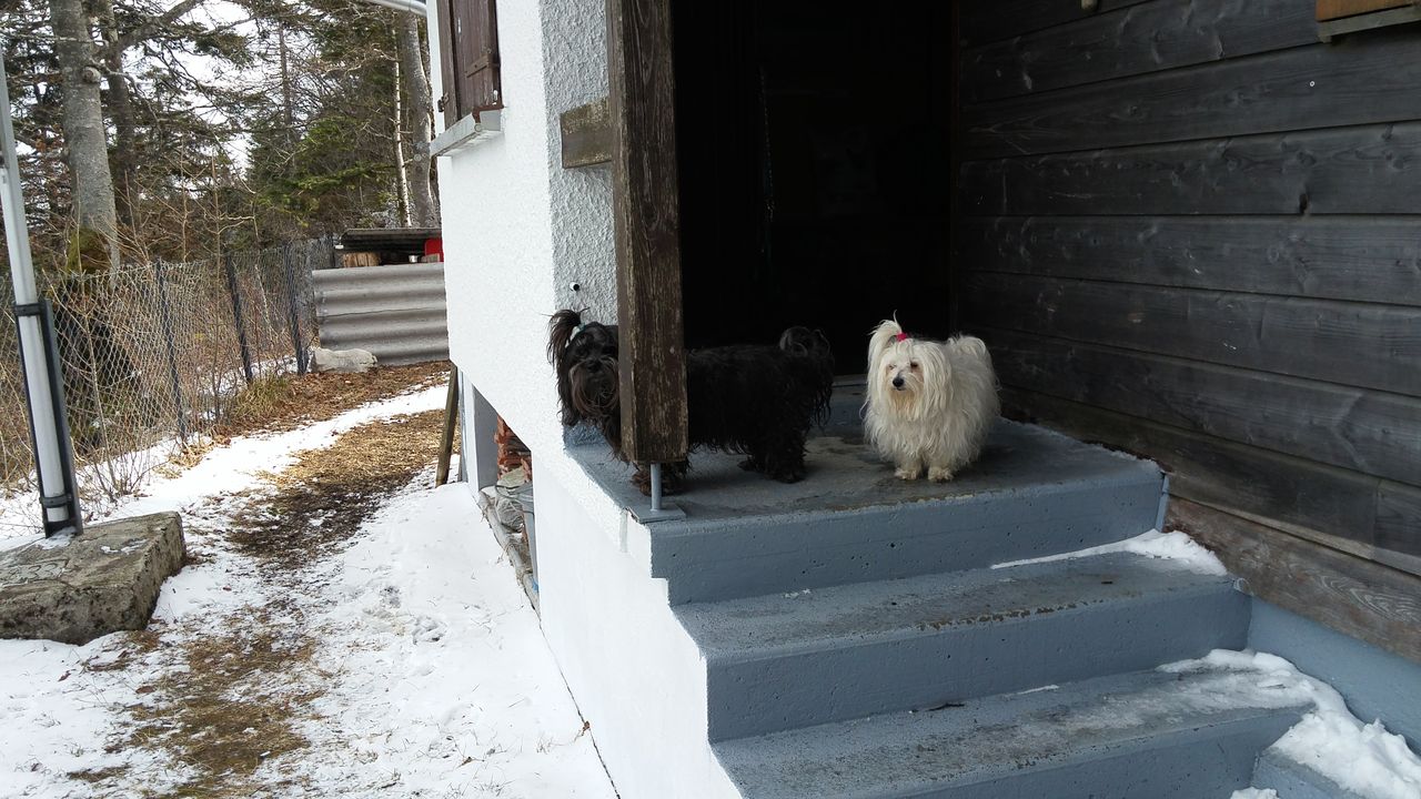 20170226_104902
