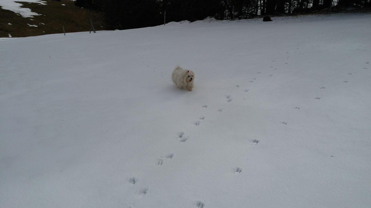 20170226_110913