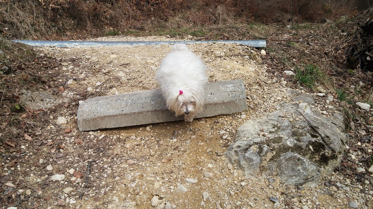 20170312_122216