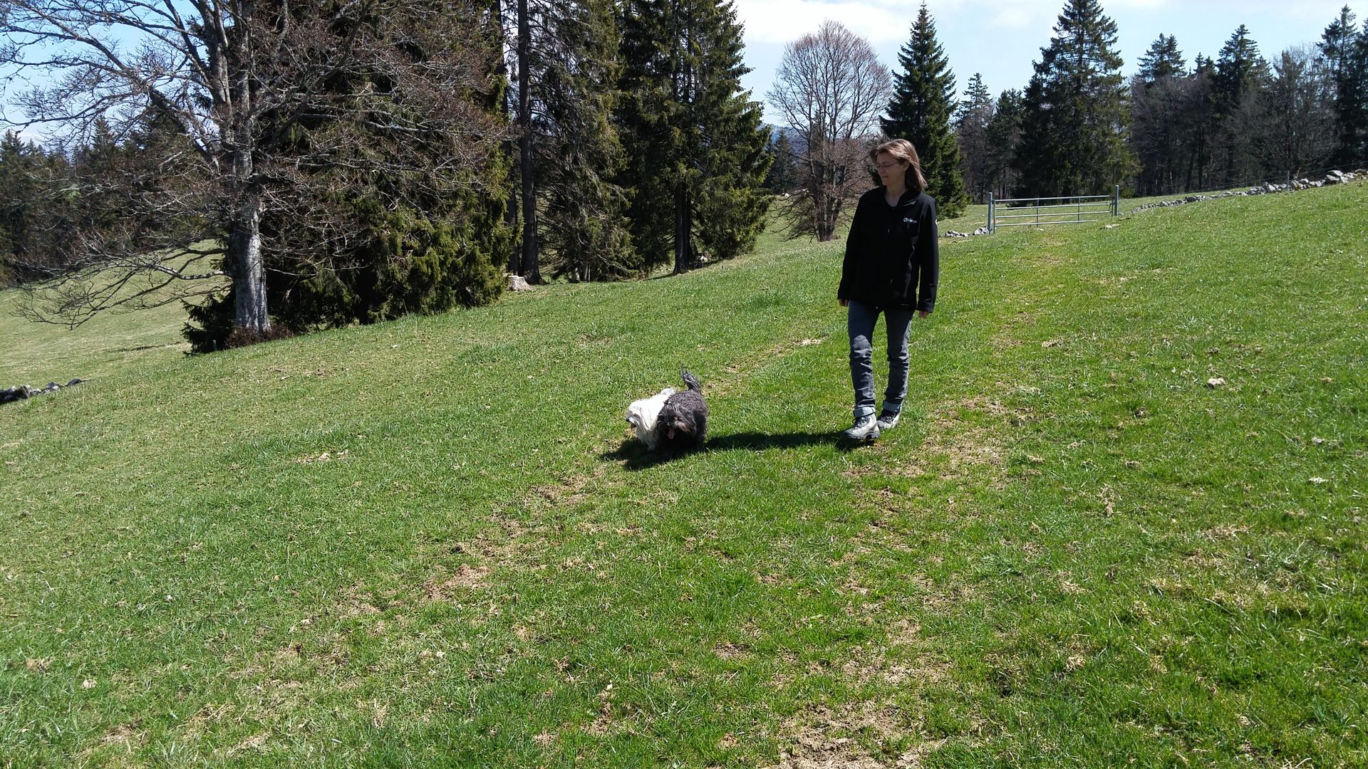 20170423_132031