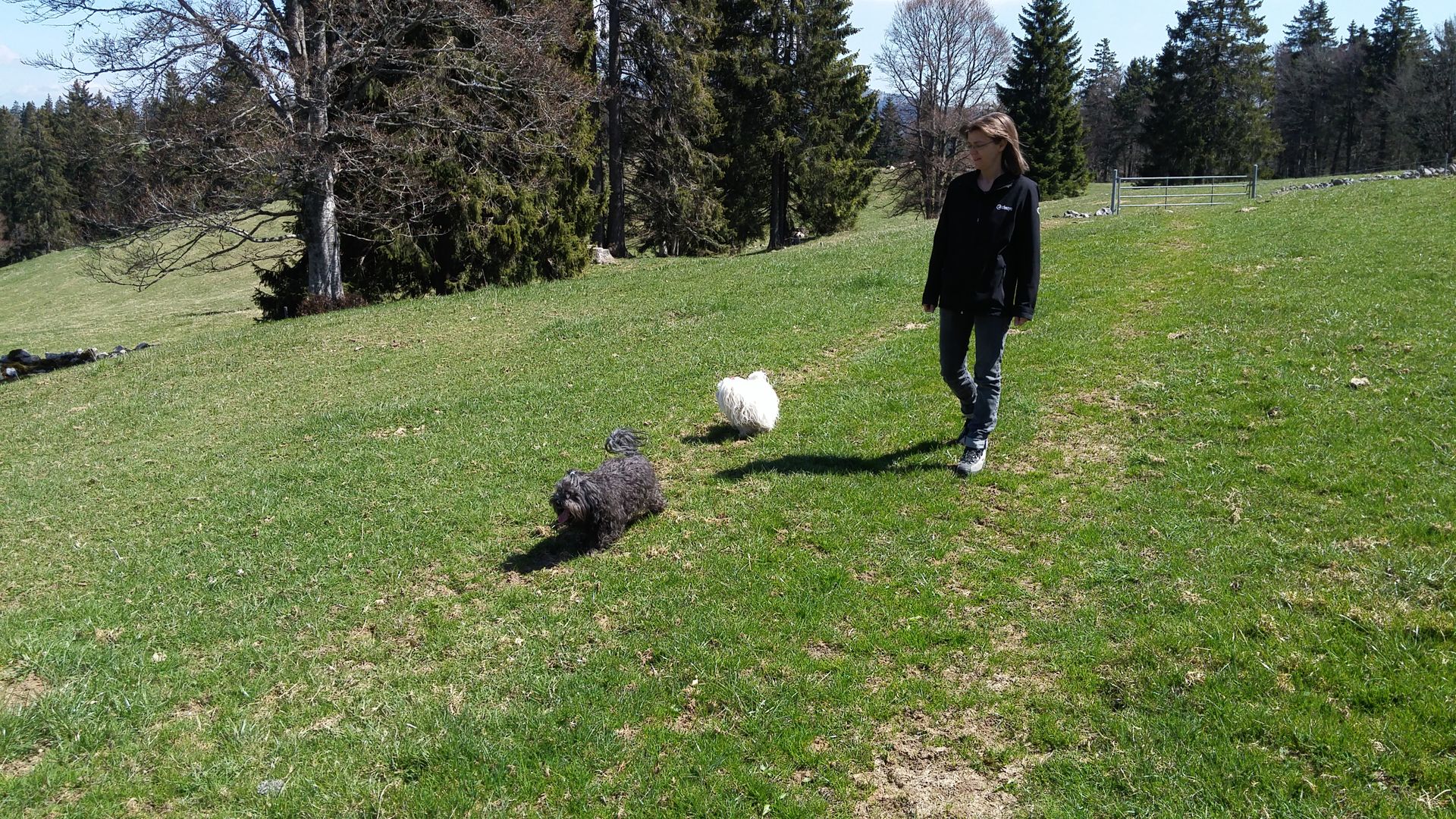 20170423_132032