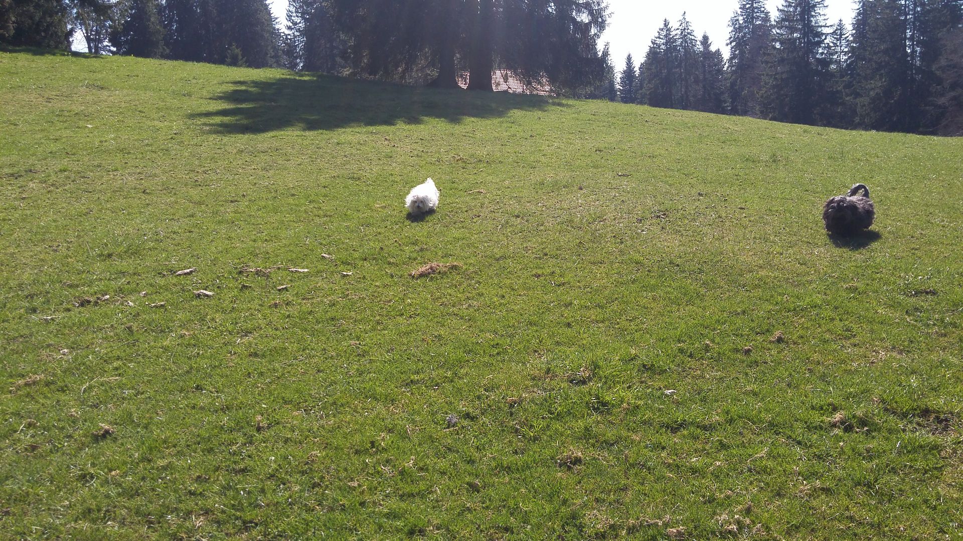 20170423_154441